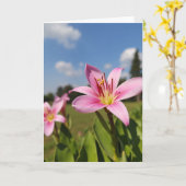 Carte Fleur de Rose Thé (Fleur jaune)
