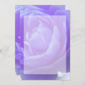 Carte fleur de rose violette (Devant / Derrière)