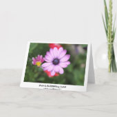 Carte Fleur de type marguerite rose (Dos)