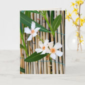 Carte Fleur de Vinca sur la barrière en bambou (Fleur jaune)