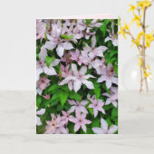 Carte Fleur de vinification Clematis violet sur blanc Tr (Fleur jaune)