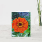 Carte Fleur de zinnia orange (Devant)