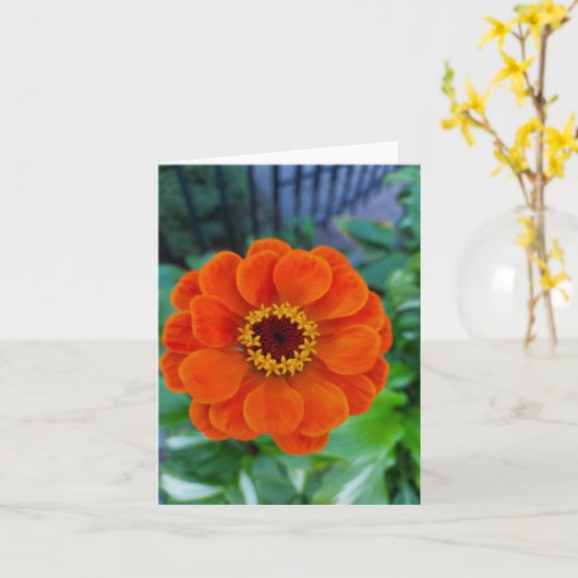 Carte Fleur de zinnia orange (Fleur jaune)