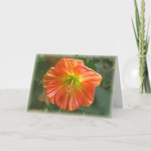 Carte Fleur d'érable (Devant)