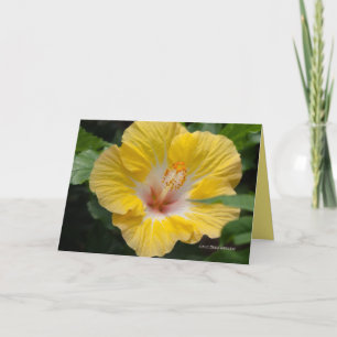 Carte Fleur d'Hibiscus jaune