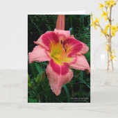 Carte Fleur diurne / Lily / Rosy Rose à l'oeil rouge / (Fleur jaune)