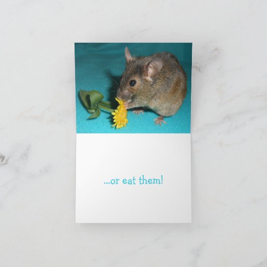 Carte Fleur d'odeur de souris (Intérieur)