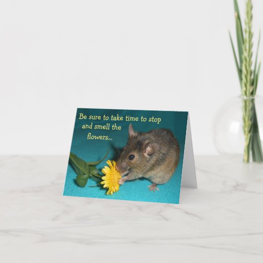 Carte Fleur d'odeur de souris (Devant)
