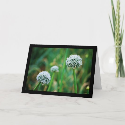 Carte Fleur d'oignon sauvage (Devant)