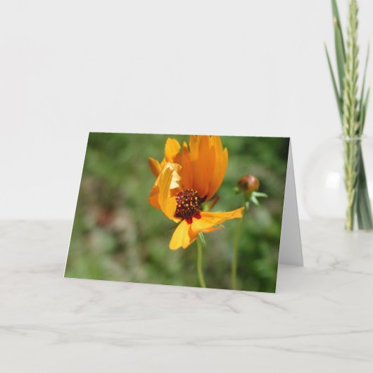 Carte fleur d'oranger (Devant)