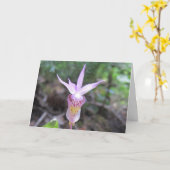 Carte Fleur d'orchidée Fairyslipper (Fleur jaune)