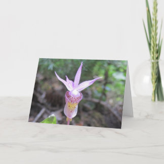 Carte Fleur d'orchidée Fairyslipper