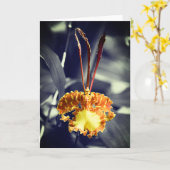 Carte Fleur d'orchidée jaune (Fleur jaune)