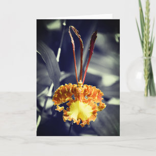 Carte Fleur d'orchidée jaune