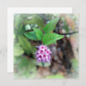 Carte Fleur en automne (Devant / Derrière)