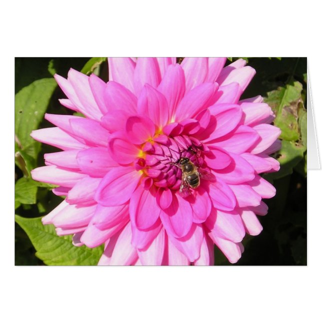 Carte Fleur et Abeille Rose (Devant horizontal)