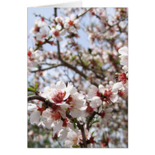 Carte Fleur Fleur Printemps
