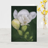 Carte Fleur Freesia (Fleur jaune)