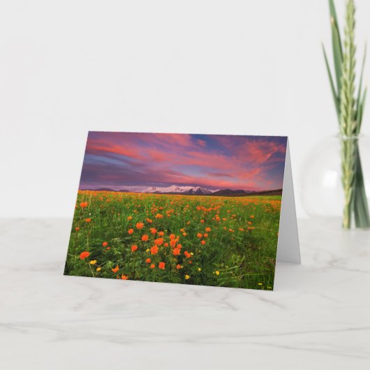 Carte Fleur Globe (Devant)