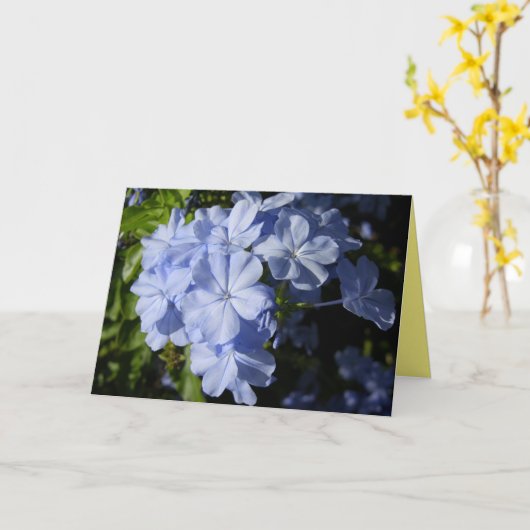 Carte Fleur Hawaiian Blue Plumbago (Fleur jaune)