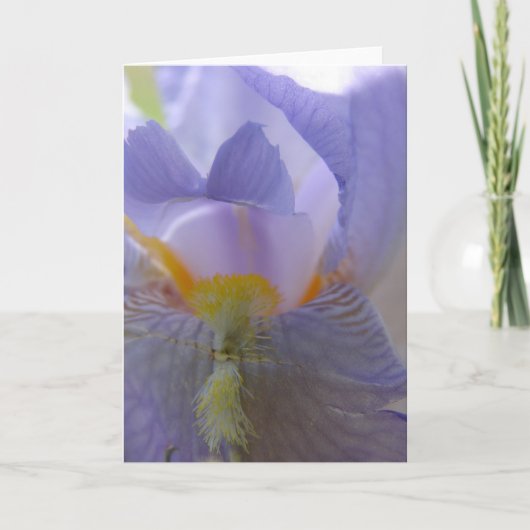 Carte Fleur Iris (Devant)