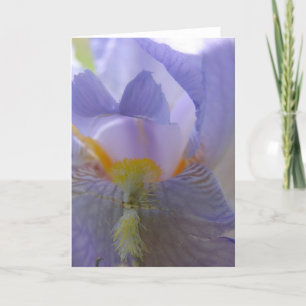 Carte Fleur Iris