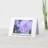 Carte Fleur - Iris (Dos)