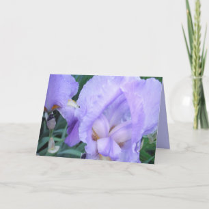 Carte Fleur - Iris