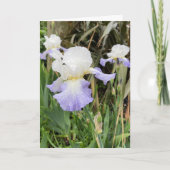 Carte Fleur Iris violet clair (Devant)