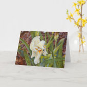 Carte Fleur Iris Wild (Fleur jaune)
