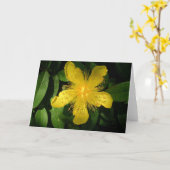 Carte Fleur Jaune (Fleur jaune)