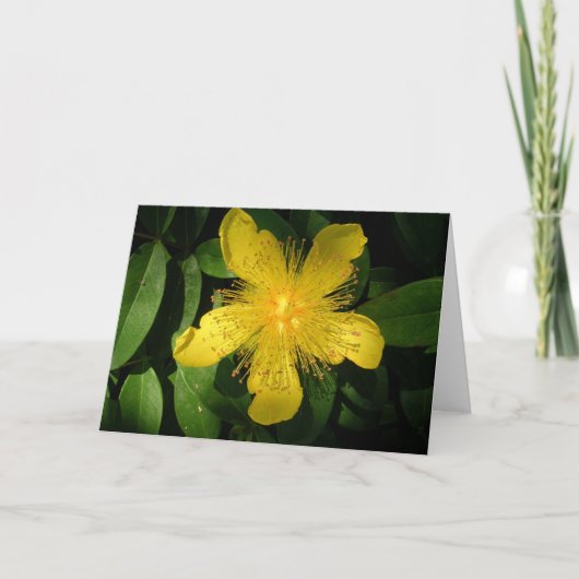 Carte Fleur Jaune (Devant)