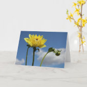Carte Fleur jaune de dahlia au soleil (Fleur jaune)