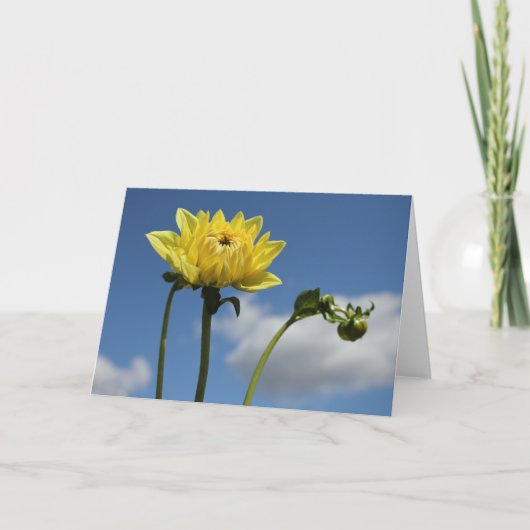 Carte Fleur jaune de dahlia au soleil (Devant)