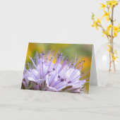Carte Fleur Lacy Phacelia (Fleur jaune)