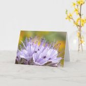 Carte Fleur Lacy Phacelia (Fleur jaune)