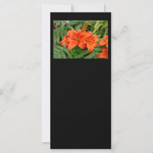Carte Fleur Lily - orange iridescente (Matt 28-30)