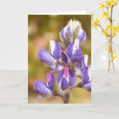 Carte Fleur Lupine (Fleur jaune)