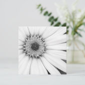 Carte Fleur monochrome de marguerite africaine (Debout devant)