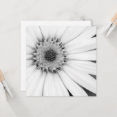 Carte Fleur monochrome de marguerite africaine (Devant/Arrière en situation)