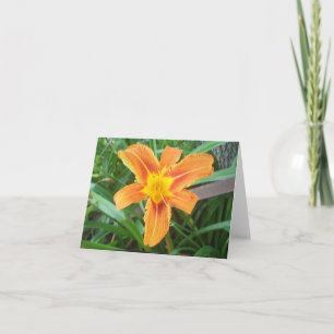 Carte Fleur orange