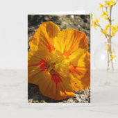 Carte Fleur orange (Fleur jaune)