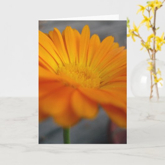 Carte fleur orange (Fleur jaune)