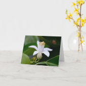 Carte Fleur orange de fleur (Fleur jaune)