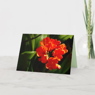 Carte Fleur Orange Vibrant, Floral, Vierge Salutation