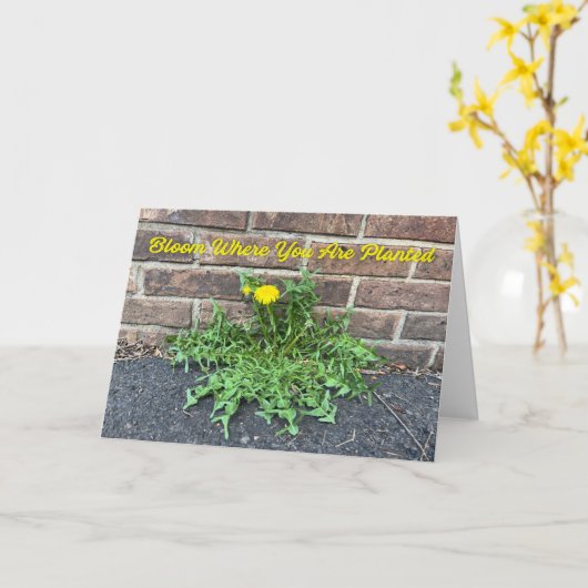 Carte Fleur où vous avez planté Dandelion Photo (Fleur jaune)