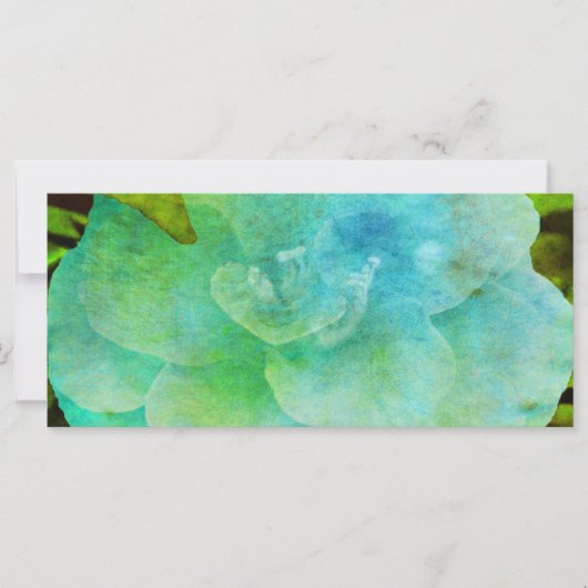 Carte Fleur peinte par Shirley Taylor (Devant)