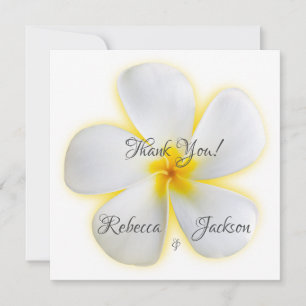 Carte Fleur Plumeria blanche, Jaune, Mariage, Merci