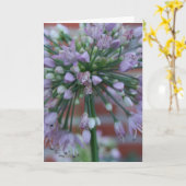 Carte Fleur pourpre (Fleur jaune)