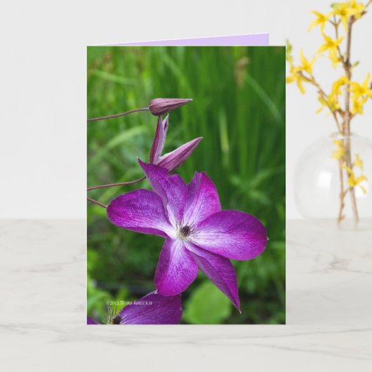 Carte Fleur pourpre (Fleur jaune)